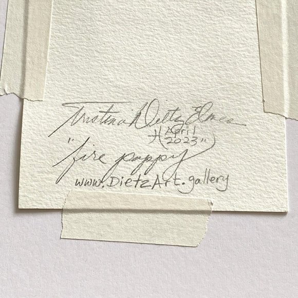 Fire Poppy - Original Wall Art Matted Flower Watercolor Painting 8x10in - Picture 4 of 5